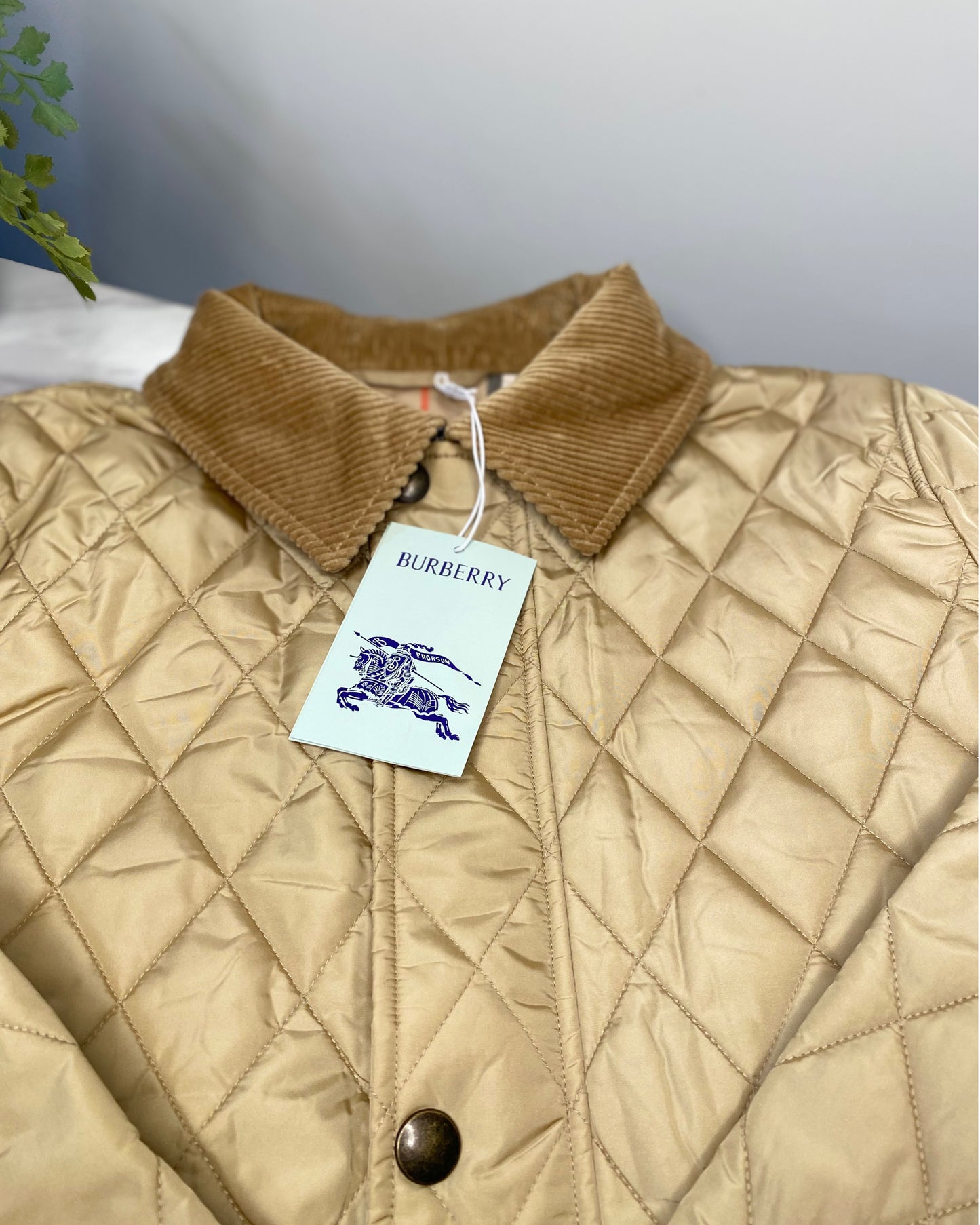 0726B-Cropped Nylon Jacket