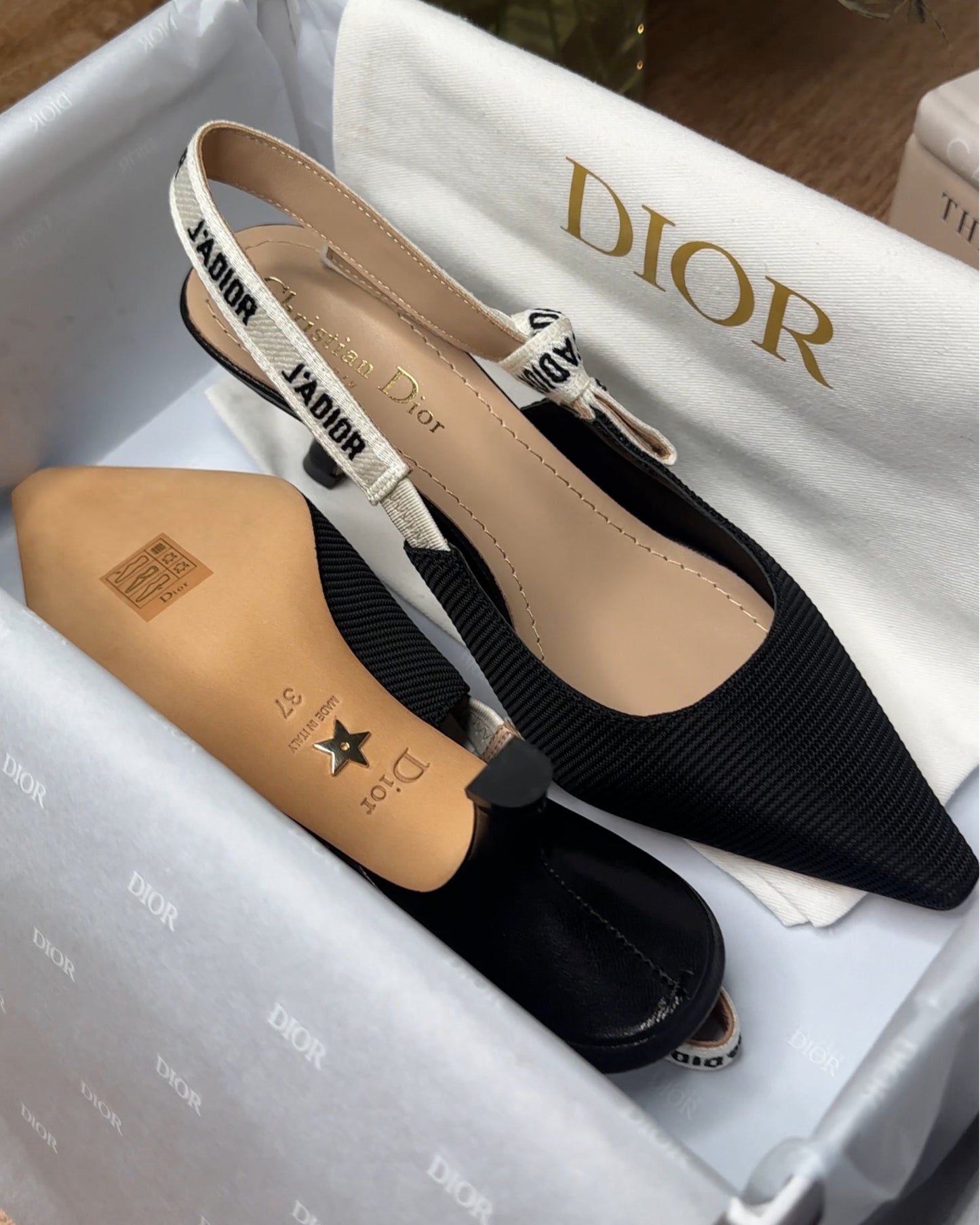 0426D-Slingback Pump