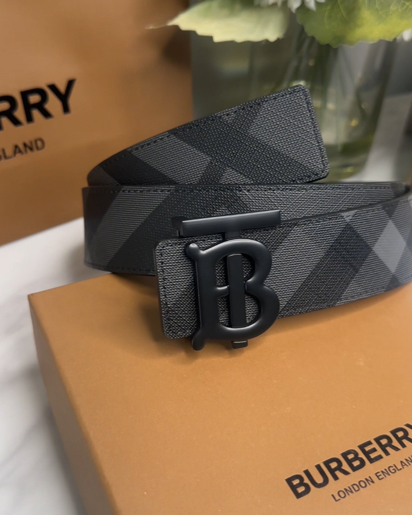 2226B-Check Reversible Belt